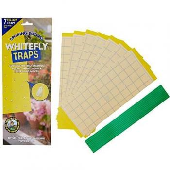 Large Pack of Whitefly Traps (7 Count)