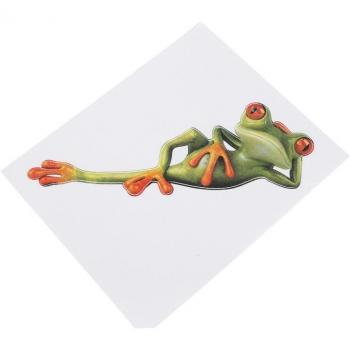 Stereo Frog Car Accessory