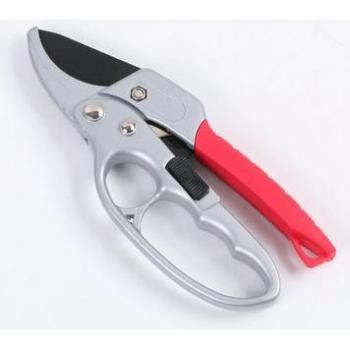 Pruning Tools for Small Branches
