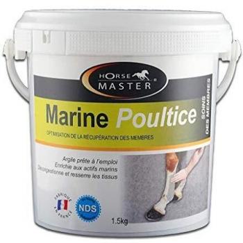 Horse Master Tendileg Massage Gel for Horses