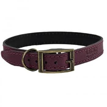 HugglePets Durable Leather Dog Collar