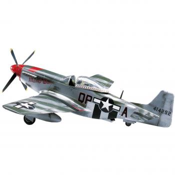 Hasegawa 1/48 P-51D Mustang