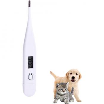 Fido & Whiskers Digital Thermometer