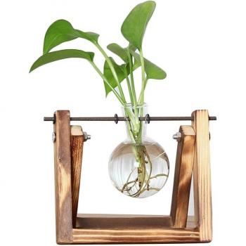 Decoración de hogar: maceta de vidrio para bulbos