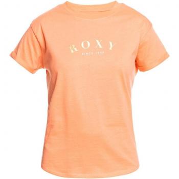 Arancione Roxy Epic Afternoon T‑shirt Donna XS