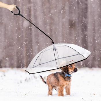 Adjustable Dog Umbrella for Walking