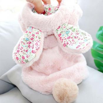 Plush Teddy Dog Coat for Bichon and Cats