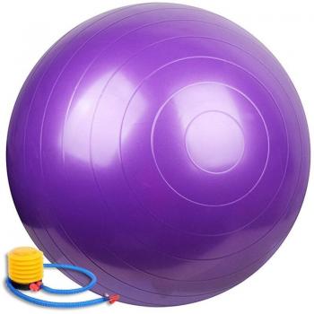 65cm Gymnastics Yoga Ball