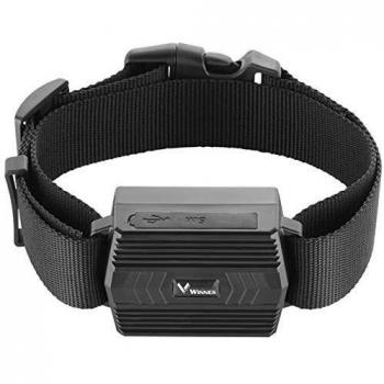 Collar GPS Ajustable para Ovinos
