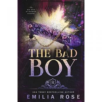 The Bad Boy (Bad Boys of Redwood Academy, Band 3)