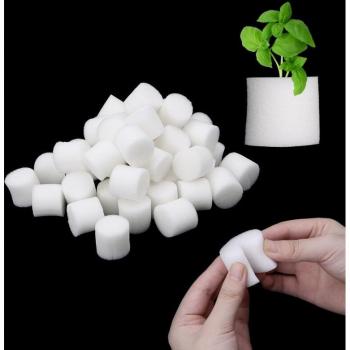 Outils de jardinage éponge pour plantes