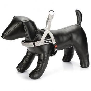 Harness Comfort Karlie Art Sportivo Collare e Guinzaglio per Animali