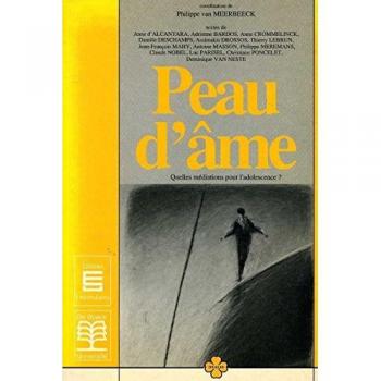 Van Meerbeeck Peau D'Ame.Quelles Mediations Pour