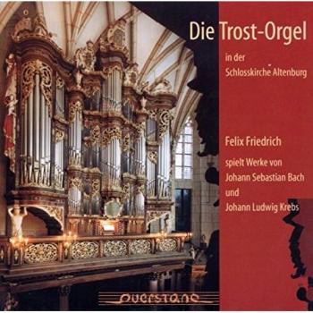 Die Trostorgel in Altenburg