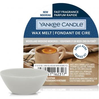 Candela fusa Yankee Candle “Ricordi del Bosco”