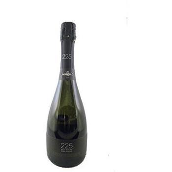 Rincones del Viñedo