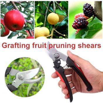 Heavy-Duty Pruning Scissors