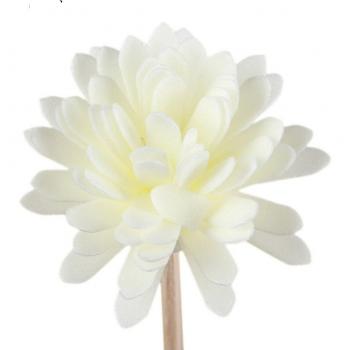 5pcs Simple Rattan Flower Diffuser Sticks