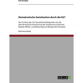 Demokratische Sozialisation durch die EU?: Der Einfluss der EU-Konditionalitätspolitik auf die demokratische Entwicklung der postkommunistischen Staaten Mittel