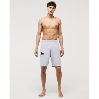 Lacoste Sportswear Shorts XL Gris Big Logo