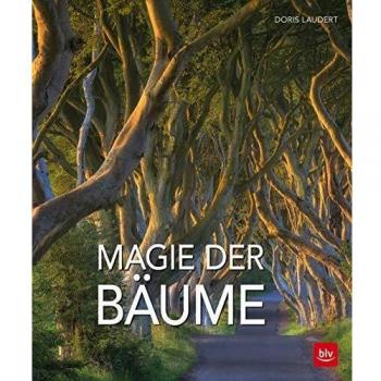 Magie der Bäume