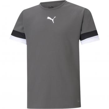Puma teamRISE Kindertrikot Grau F13 152