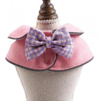 Pet Kindergarten Shawl with Bowknot