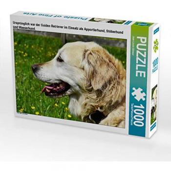 CALVENDO Puzzle Golden Retriever Stöberhund
