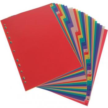 Colored A4 PP Binder with 31 Pages and Index Dividers