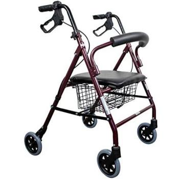 Déambulateur léger Bordeaux