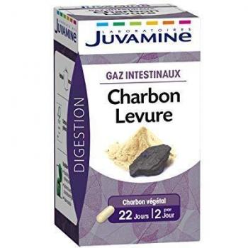 Complexe Charbon + Levure de Bière Gaz Intestinaux 45 Gélules par Juvamine
