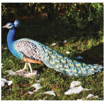 Animale di Giardino: Pavone, 47 cm, Resina