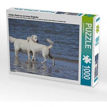 Calvendo Treuer Begleiter: Golden Retriever – 1000‑Teile‑Puzzle
