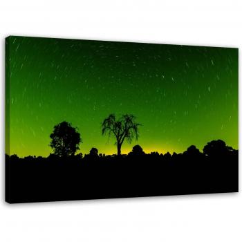 Green Aurora Wall Decor