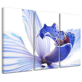 Tableau Imprimé Orchidées DECLINA 150x100