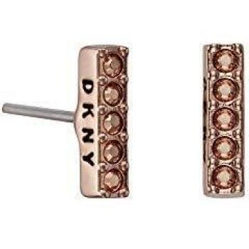 Boucles d'oreilles Dkny 5520082 rose