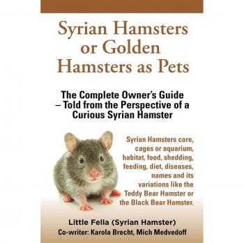 Syrian Hamsters or Golden Hamsters as Pets: Care, cages or aquarium, food, habitat, shedding, feeding, diet, diseases, toys, names, all ... the perspective of a curious Syrian Hamster