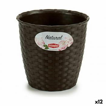 Vaso di servizio Stefanplast 14x13x14 cm – confezione da 12