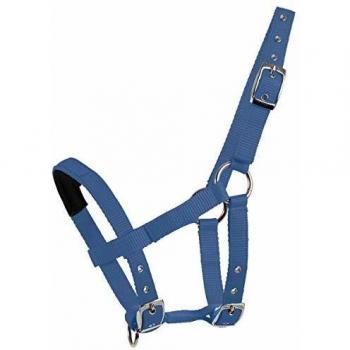 Azure Blue Waldhausen Halter for Mini Shetty