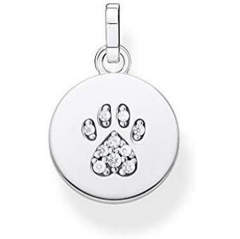 Colgante de Plata con Diseño de Pata de Gato