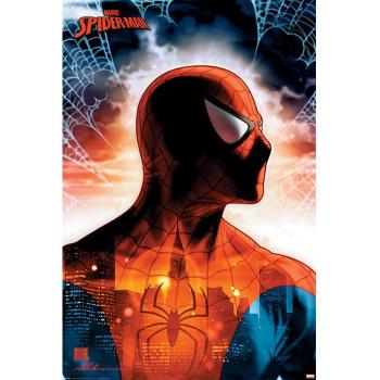 Maxi Poster Marvel Spiderman 61 x 91,5 cm