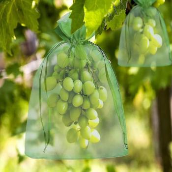 Sacs à Raisins en Organza avec Cordons Réglables, 100 pièces, Dimensions 30x20cm et 10x15cm pour une Protection Complète des Grappes
