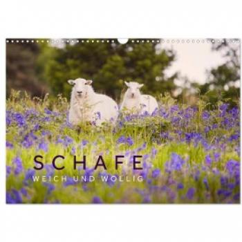 Schafe