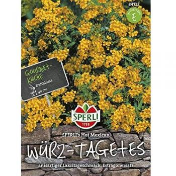 Würz-Tagetes SPERLING´s Hot Mexican