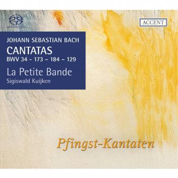 Bach: Pfingst-Kantaten (Kantaten für das Kirchenjahr Vol.16: BWV 34/173/184/129)