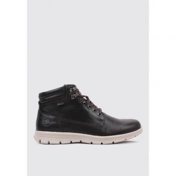 Calçado Masculino Coronel Tapioca C183-18 Marron