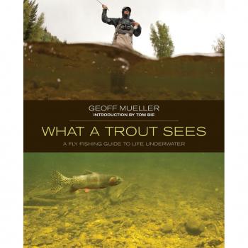 Vitalsource Technologies, Inc. What A Trout Sees