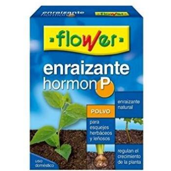 Floré Brun – Poudre Hormonal Naturelle (5 × 10 g)