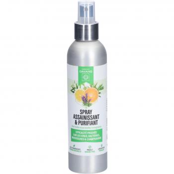 Dayang Spray Désinfectant 200 ml