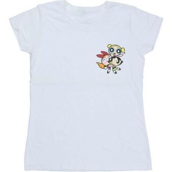 Camicia da uomo Powerpuff Girls a maniche lunghe BI51883